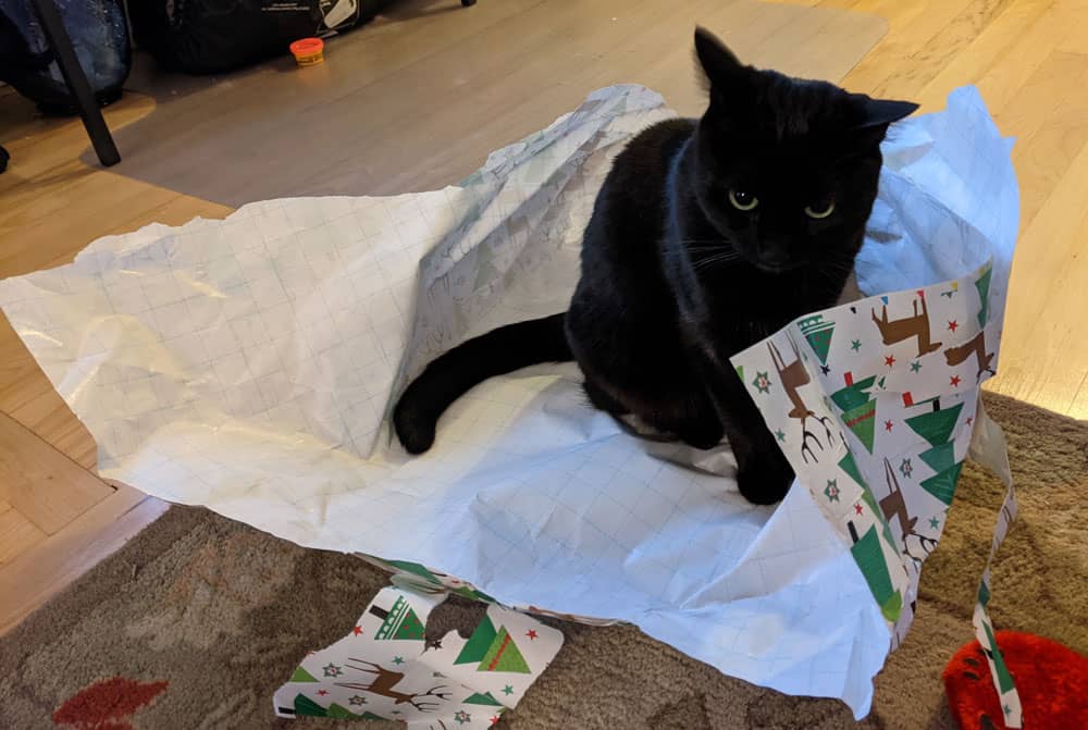 A black cat playing with wrapping paper.