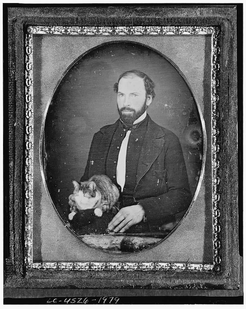 A black and white Daguerreotype  of an unidentified man with cat, three-quarter length portrait, full face, seated.