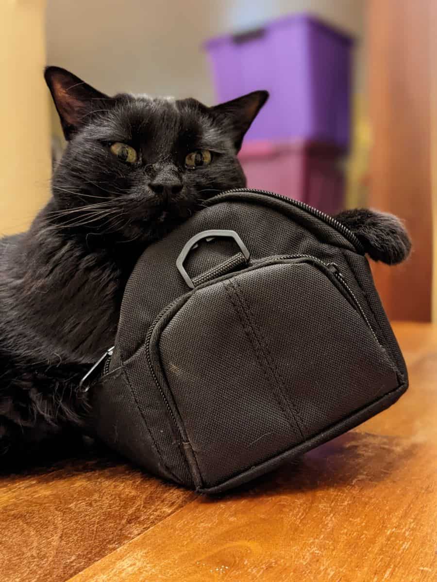 A black cat leaning awkwardly on a black bag on top of a wooden table.