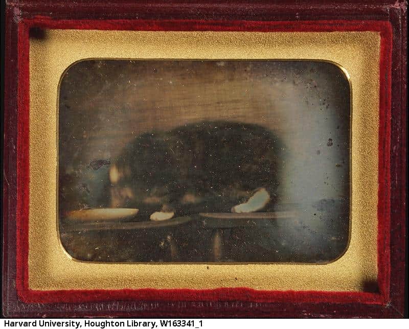 A daguerreotype photo of a tabby with white feet drinking water from a white bowl, 1840 - 1860.